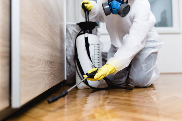 Professional Pest Control in Westbury, NY