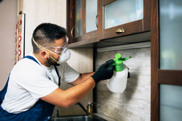 Best Best Pest Control Companies  in Westbury, NY