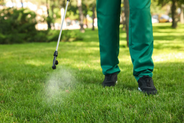 Pest Control for Restaurants in Westbury, NY