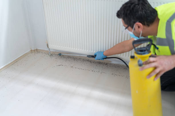 Best Bed Bug Extermination  in Westbury, NY